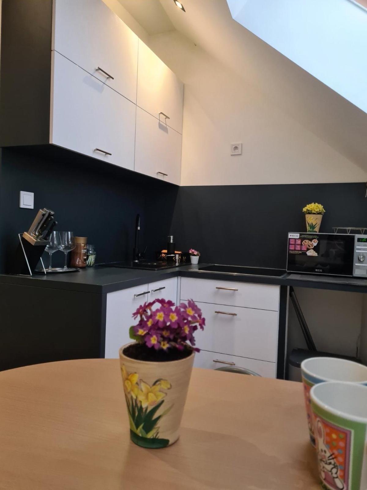 Apartment Zvonarska With Parking Кошице Екстериор снимка
